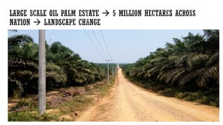 Oil Palm Adaptive Landscape: With special reference to Indonesia cases