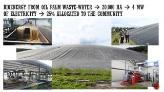 Oil Palm Adaptive Landscape: With special reference to Indonesia cases