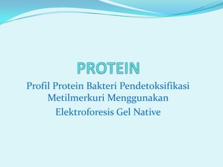 PROTEIN Profil Protein Bakteri Pendetoksifikasi Metilmerkuri Menggunakan Elektroforesis Gel Native 