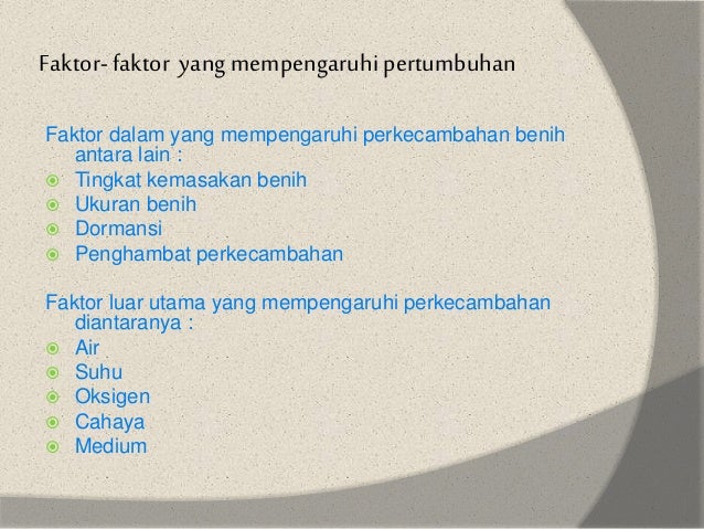 Pengaruh Nutrisi Bagi Kecambah