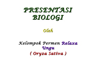 PRESENTASI BIOLOGI Kelompok Permen   Relaxa Ungu ( Oryza Sativa ) Oleh 