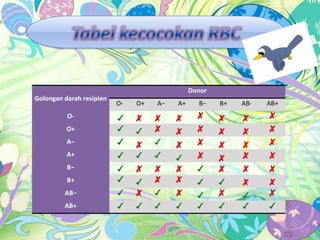 Donor
Golongan darah resipien
OO+
A−
A+
B−
B+

AB−
AB+

O-

O+

A−

A+

B−

B+

AB-

AB+

 