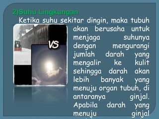 2)Suhu Lingkungan
Ketika suhu sekitar dingin, maka tubuh
akan berusaha untuk
menjaga suhunya
dengan mengurangi
jumlah darah yang
mengalir ke kulit
sehingga darah akan
lebih banyak yang
menuju organ tubuh, di
antaranya ginjal.
Apabila darah yang
menuju ginjal
 