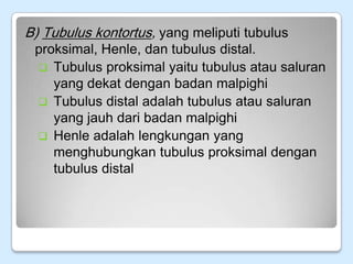 B) Tubulus kontortus, yang meliputi tubulus
proksimal, Henle, dan tubulus distal.
 Tubulus proksimal yaitu tubulus atau saluran
yang dekat dengan badan malpighi
 Tubulus distal adalah tubulus atau saluran
yang jauh dari badan malpighi
 Henle adalah lengkungan yang
menghubungkan tubulus proksimal dengan
tubulus distal
 