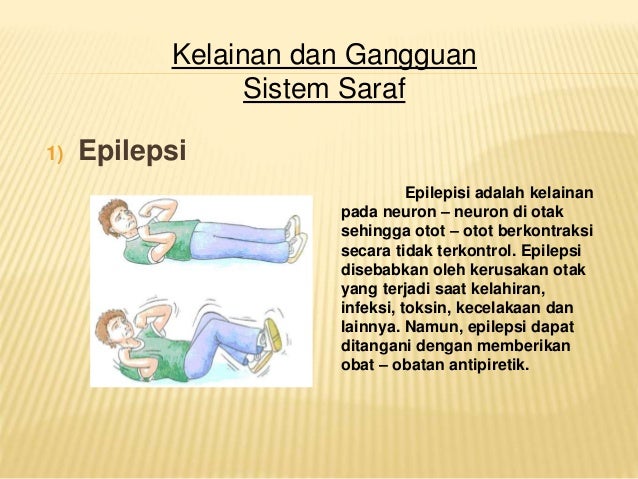 Sistem saraf pusat dan sistem saraf tepi pada manusia