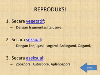 REPRODUKSI
1. Secara vegetatif:
  – Dengan fragmentasi talusnya.


2. Secara seksual:
  – Dengan konjugasi, Isogami, Anisogami, Oogami,


3. Secara aseksual:
  – Zoospora, Autospora, Aplanospora.
                                              BACK
 
