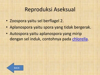 Reproduksi Aseksual
• Zoospora yaitu sel berflagel 2.
• Aplanospora yaitu spora yang tidak bergerak.
• Autospora yaitu aplanospora yang mirip
  dengan sel induk, contohnya pada chlorella.




    BACK
 