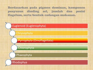 Berdasarkan pada pigmen dominan, komponen
penyusun dinding sel, jumlah dan posisi
flagelum, serta bentuk cadangan makanan.


  Euglenoid (Euglenophyta)

    Chrysophyta

      Pyrrophyta (Dinoflagellata)

      Chlorophyta

    Phaeophyta

  Rhodophya
 