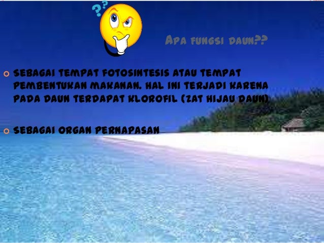 ORGAN TUMBUHAN, PROSES PEROLEHAN NUTRISI TUMBUHAN, DAN 