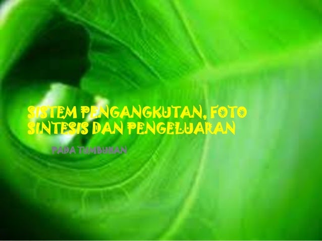 ORGAN TUMBUHAN, PROSES PEROLEHAN NUTRISI TUMBUHAN, DAN 