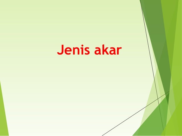 Presentasi Organ Tumbuhan Akar