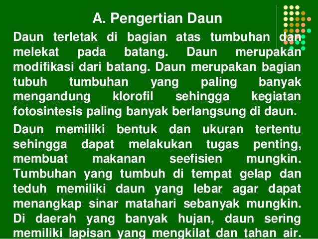 Menggambarkan dan Menjelaskan Struktur Akar Batang dan Daun
