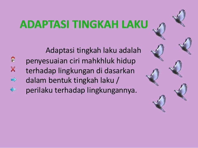 Adaptasi Tingkah Laku Terhadap Hewan