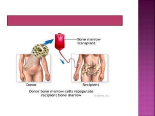 Tulang dan Persendian