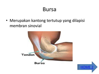 Bursa
• Merupakan kantong tertutup yang dilapisi
membran sinovial
HOME 2
 