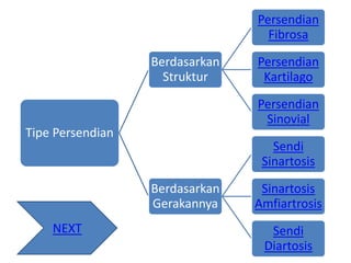 Tipe Persendian
Berdasarkan
Struktur
Persendian
Fibrosa
Persendian
Kartilago
Persendian
Sinovial
Berdasarkan
Gerakannya
Sendi
Sinartosis
Sinartosis
Amfiartrosis
Sendi
Diartosis
NEXT
 