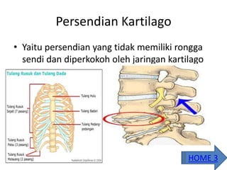 Persendian Kartilago
• Yaitu persendian yang tidak memiliki rongga
sendi dan diperkokoh oleh jaringan kartilago
HOME 3
 