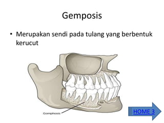 Gemposis
• Merupakan sendi pada tulang yang berbentuk
kerucut
HOME 3
 