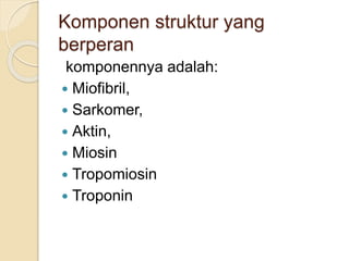 Komponen struktur yang
berperan
komponennya adalah:
 Miofibril,
 Sarkomer,
 Aktin,
 Miosin
 Tropomiosin
 Troponin
 