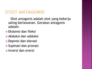 Otot antagonis adalah otot yang bekerja
saling berlawanan. Gerakan antagonis
adalah:
 Ekstensi dan fleksi
 Abduksi dan adduksi
 Depresi dan elevasi
 Supinasi dan pronasi
 Inversi dan eversi
 