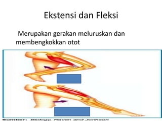 Ekstensi dan Fleksi
Merupakan gerakan meluruskan dan
membengkokkan otot
 