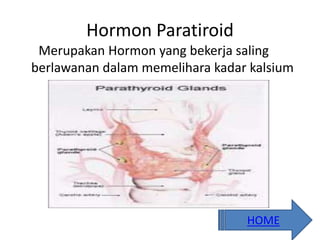 Hormon Paratiroid
Merupakan Hormon yang bekerja saling
berlawanan dalam memelihara kadar kalsium
HOME
 