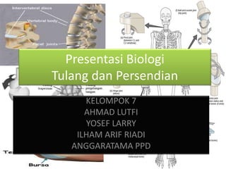 Presentasi Biologi
Tulang dan Persendian
KELOMPOK 7
AHMAD LUTFI
YOSEF LARRY
ILHAM ARIF RIADI
ANGGARATAMA PPD
 