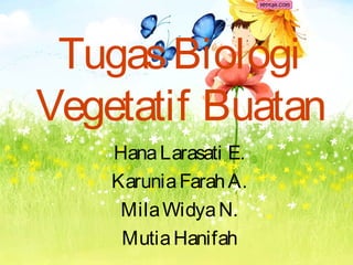Tugas Biologi
Vegetatif Buatan
    Hana Larasati E.
    Karunia Farah A.
     Mila Widya N.
     Mutia Hanifah
 