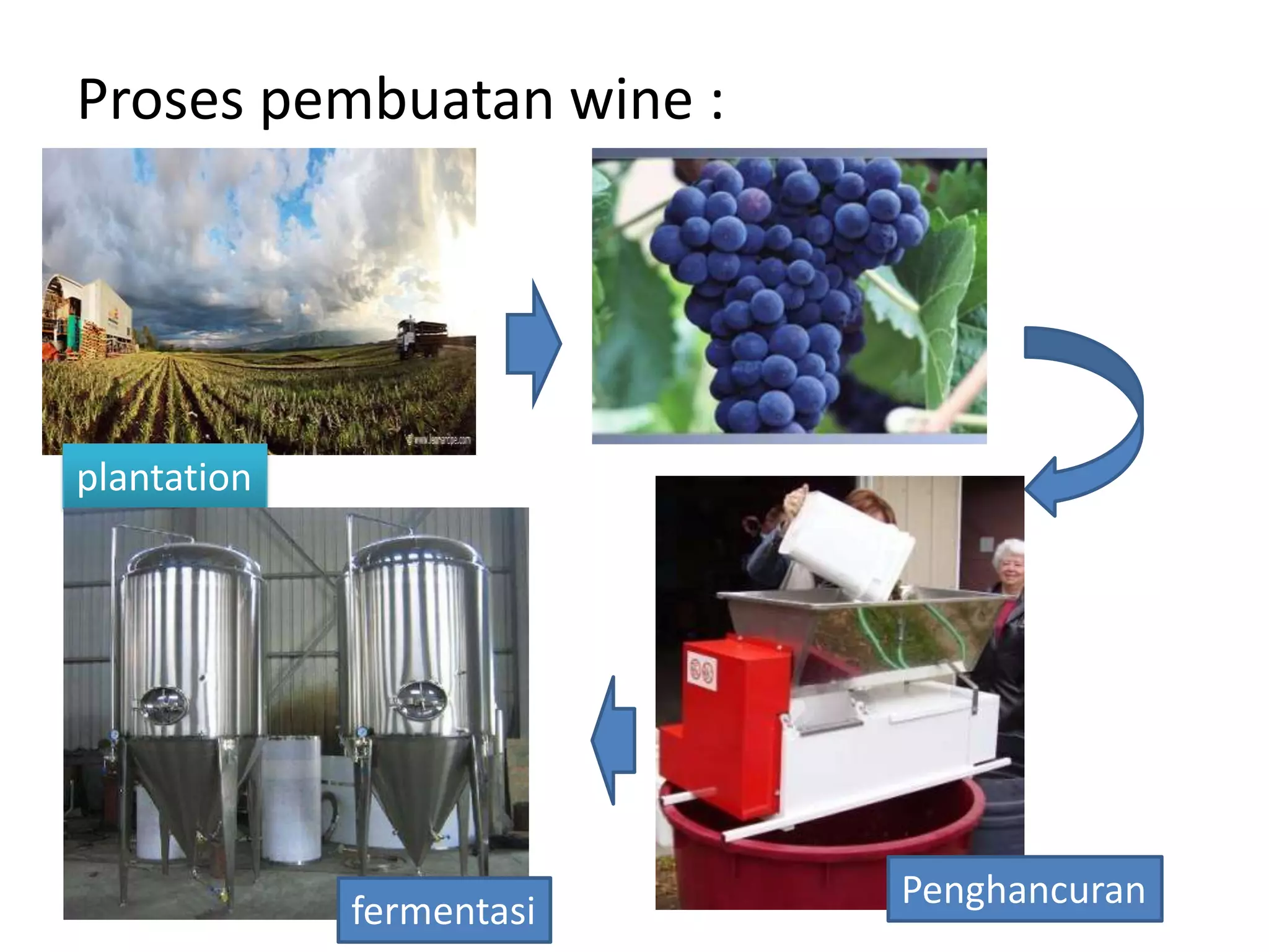 Proses pembuatan wine :
plantation
Penghancuran
fermentasi
 