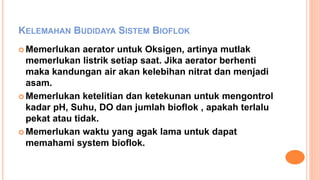Mengungkap Kekurangan Sistem Bioflok dalam Budidaya Lele yang Perlu Diketahui