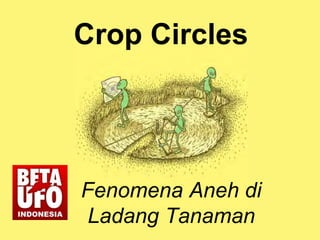 Crop Circles
Fenomena Aneh di
Ladang Tanaman
 