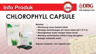 Presentasi_DNGSUPER_October_2012