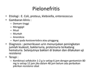 Pielonefritis
• Etiologi : E. Coli, proteus, klebsiella, enterococcus
• Gambaran klinis :
– Demam tinggi
– Menggigil
– Mual
– Muntah
– Anoreksia
– Nyeri pada kostovertebra atau pinggang
• Diagnosis : pemeriksaan urin menunjukan peningkatan
jumlah leukosit, bakteriuria, proteinuria terkadang
hematuria. Selanjutnya bakteri di biakan dan dilakukan uji
resistensi
• Terapi :
– Kombinasi sefoksitin 1-2 g iv setiap 6 jam dengan gentamisin 80
mg iv setiap 12 jam jika dalam 48 jam belum ada perbaikan
pikirkan resistensi obat
 