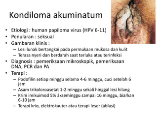 Kondiloma akuminatum
• Etiologi : human papiloma virus (HPV 6-11)
• Penularan : seksual
• Gambaran klinis :
– Lesi lunak bertangkai pada permukaan mukosa dan kulit
– Terasa nyeri dan berdarah saat terluka atau terinfeksi
• Diagnosis : pemeriksaan mikroskopik, pemeriksaan
DNA, PCR dan PA
• Terapi :
– Podofilin setiap minggu selama 4-6 minggu, cuci setelah 6
jam
– Asam trikoloroasetat 1-2 minggu sekali hinggal lesi hilang
– Krim imikuimod 5% 3xseminggu sampai 16 minggu, biarkan
6-10 jam
– Terapi krio, elektrokauter atau terapi leser (ablasi)
 