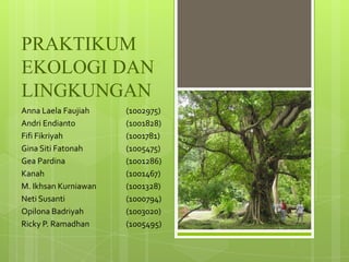 PRAKTIKUM
EKOLOGI DAN
LINGKUNGAN
Anna Laela Faujiah    (1002975)
Andri Endianto        (1001828)
Fifi Fikriyah         (1001781)
Gina Siti Fatonah     (1005475)
Gea Pardina           (1001286)
Kanah                 (1001467)
M. Ikhsan Kurniawan   (1001328)
Neti Susanti          (1000794)
Opilona Badriyah      (1003020)
Ricky P. Ramadhan     (1005495)
 