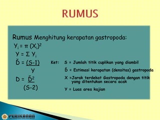 Rumus Menghitung kerapatan gastropoda:
Yi = π (Xi)2
Y = Σ Yi
Ď = (S-1)
Y
D = Ď2
(S-2)
Ket: S = Jumlah titik cuplikan yang diambil
Ď = Estimasi kerapatan (densitas) gastropoda
X =Jarak terdekat Gastropoda dengan titik
yang ditentukan secara acak
Y = Luas area kajian
 