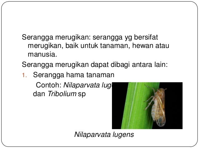 Merugikan In English