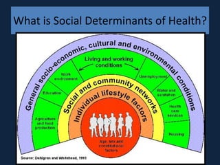 What is Social Determinants of Health?
 
