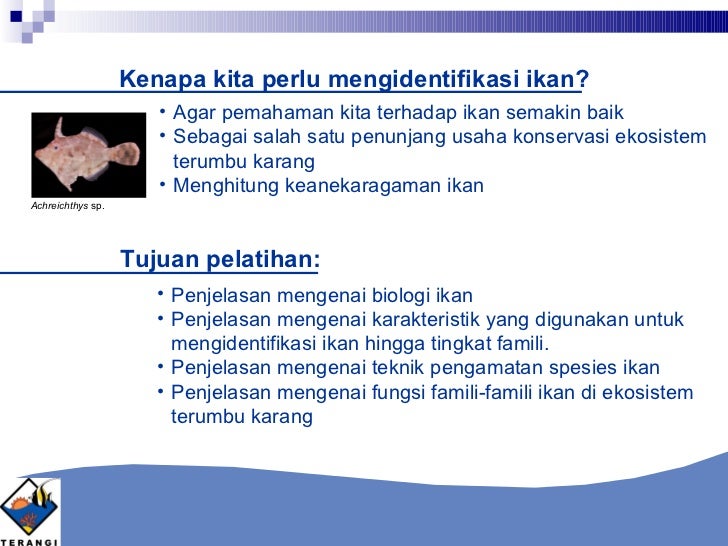 Teknik Identifikasi Ikan Karang Secara Visual