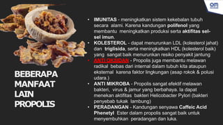 BEBERAPA
MANFAAT
LAIN
PROPOLIS
• IMUNITAS - meningkatkan sistem kekebalan tubuh
secara alami. Karena kandungan polifenol yang
membantu meningkatkan produksi serta aktifitas sel-
sel imun.
• KOLESTEROL - dapat menurunkan LDL (kolesterol jahat)
dan triglisida, serta meningkatkan HDL (kolesterol baik)
yang sangat baik menurunkan resiko penyakit jantung
• ANTI OKSIDAN - Propolis juga membantu melawan
radikal bebas dari internal dalam tubuh kita ataupun
eksternal karena faktor lingkungan (asap rokok & polusi
udara.)
• ANTI MIKROBA - Propolis sangat efektif melawan
bakteri, virus & jamur yang berbahaya. Ia dapat
menekan aktifitas bakteri Helicobacter Pylori (bakteri
penyebab tukak lambung)
• PERADANGAN - Kandungan senyawa Caffeic Acid
Phenetyl Ester dalam propolis sangat baik untuk
menyembuhkan peradangan dan luka.
 
