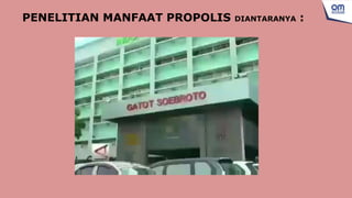 PENELITIAN MANFAAT PROPOLIS DIANTARANYA :
 