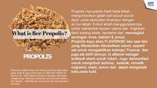Propolis merupakan hasil kerja lebah
mengumpulkan getah dari pucuk-pucuk
daun untuk kemudian dicampur dengan
air liur lebah. Koloni lebah menggunakannya
untuk menambal lapisan utama dan lingkaran
steril sarang lebah, terutama dari menangkal
serangan virus, bakteri & jamur.
Propolis kaya akan FLAVONOID dan zaat lain
yang dibutuhkan dibutuhkan tubuh, seperti
zat untuk mengaktifkan kelenjar Thymus dan
juga zat aktif lainnya. Ia dikenal sebagai
antibodi alami untuk tubuh. Juga bermanfaat
untuk mengobati asthma, katarak, rematik,
migraine, wasir, tumor dan dapat mengobati
luka pada kulit.
PROPOLIS
Flavonoid adalah komponen kimia yang biasa ditemukan
pada buah & sayur. Ditemukan th 1935 oleh “Father Of
Vitamin” Dr. Albert Szent-Gyorgyl of Hungary. Flavonoid
mengandung beberapa komponen anti virus,anti bakteri,
anti oksidan, antiinflamasi, anti kanker dan meningkatkan
imunitas.
 