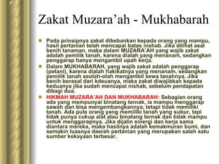 Zakat Muzara’ah - Mukhabarah Pada prinsipnya zakat dibebankan kepada orang yang mampu, hasil pertanian telah mencapai batas nishab. Jika dilihat asal benih tanaman, maka dalam MUZARA’AH yang wajib zakat adalah pemilik tanah, karena dialah yang menanam, sedangkan penggarap hanya mengambil upah kerja. Dalam MUKHABARAH, yang wajib zakat adalah penggarap (petani), karena dialah hakikatnya yang menanam, sedangkan pemilik tanah seolah-olah mengambil sewa tanahnya. Jika benih berasal dari kdeuanya, maka zakat diwajibkan kepada keduanya jika sudah mencapai nishab, sebelum pendapatan dibagi dua. HIKMAH MUZARA’AH DAN MUKHABARAH:  Sebagian orang ada yang mempunyai binatang ternak, ia mampu menggarap sawah dan bisa mengembangkannya, tetapi tidak memiliki tanah. Ada pula orang yang memiliki tanah yang subur, tapi tidak punya cukup alat atau binatang ternak dan tidak mampu untuk menggarapnya. Jika dijalin sinergi dan kerja sama diantara mereka, maka hasilnya adalah kemakmuran bumi, dan semakin luasnya daerah pertanian yang merupakan salah satu sumber kekayaan terbesar. 