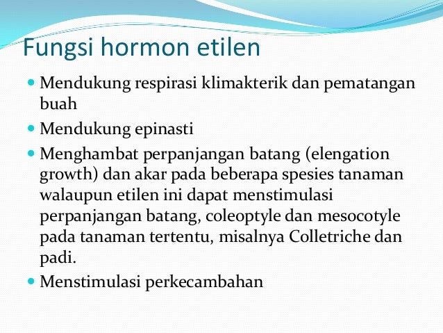 Presentasi Fistum Kelompok 4 Etilen Dan Fenolik