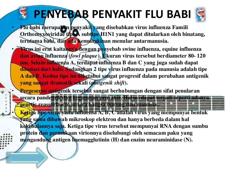 Presentasi flu babi biologi