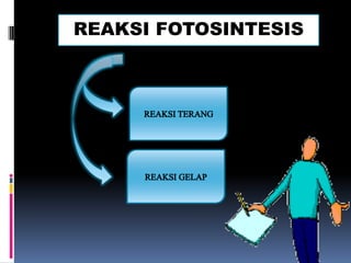 REAKSI FOTOSINTESIS
 
