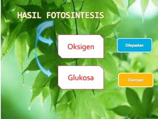 Oksigen
Glukosa
 