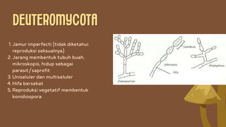Jamur Multiseluler Presentasi Fungi_Pembelajaran Mendalam_Fase E | PDF