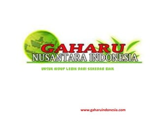 UNTUK HIDUP LEBIH DARI SEKEDAR BAIK




                  www.gaharuindonesia.com
 