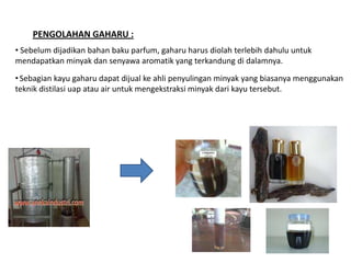 Parfum Gaharu   Lilin Gaharu   Serpihan kulit batang Gaharu


                               www.gaharunusantara.com – Web...